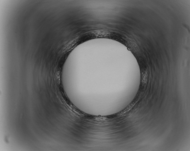 X0000097500666200802220843