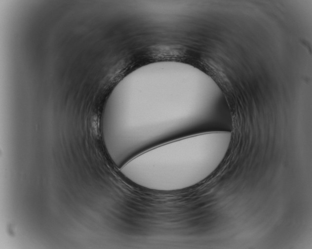 X0000097500669200802220843