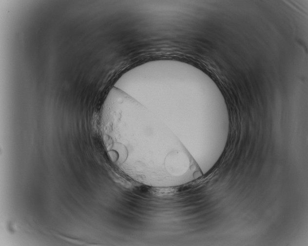 X0000097500670200802220843