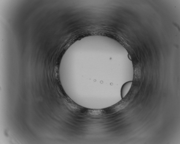 X0000097500671200802220843