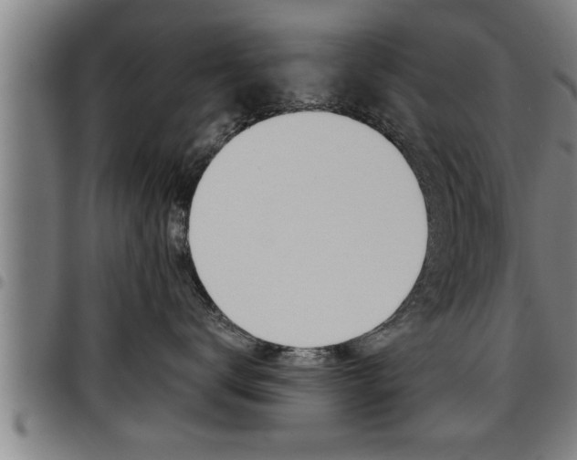 X0000097500672200802220843