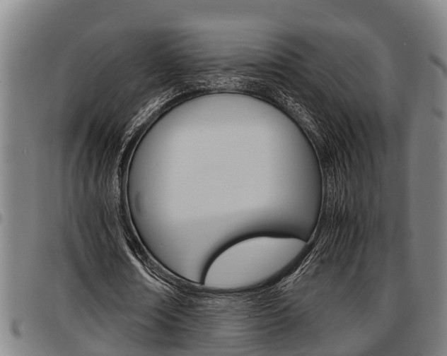 X0000097500674200802220842