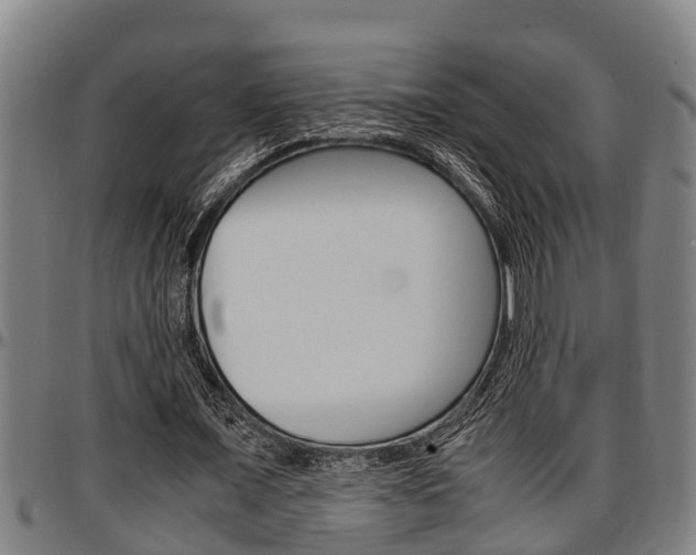 X0000097500675200802220842