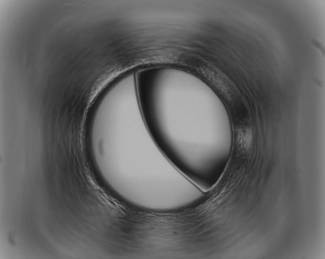X0000097500676200802220842