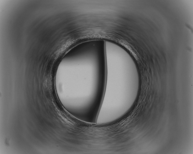 X0000097500677200802220842