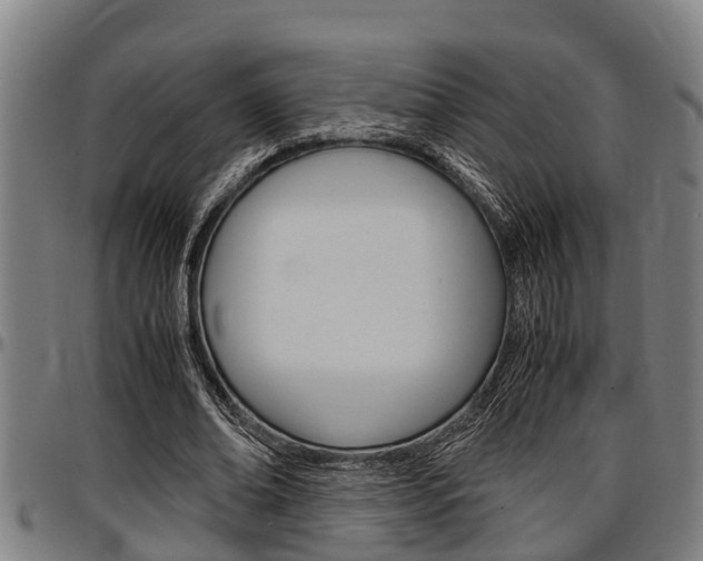 X0000097500678200802220842