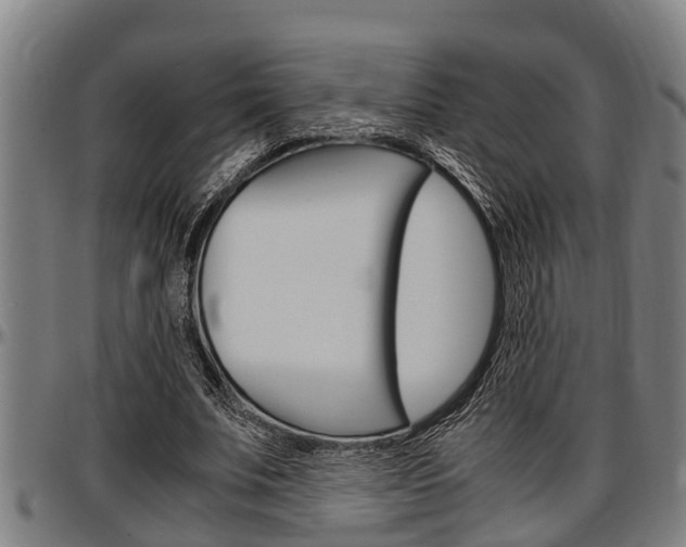 X0000097500679200802220842