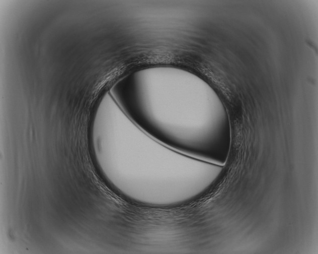 X0000097500681200802220842