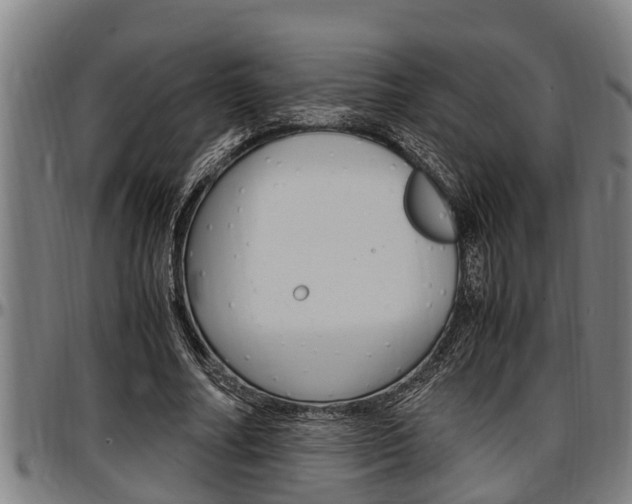 X0000097500682200802220842