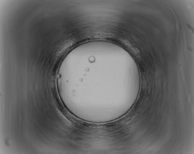 X0000097500683200802220842