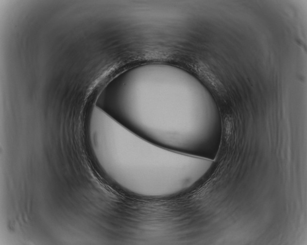 X0000097500684200802220842