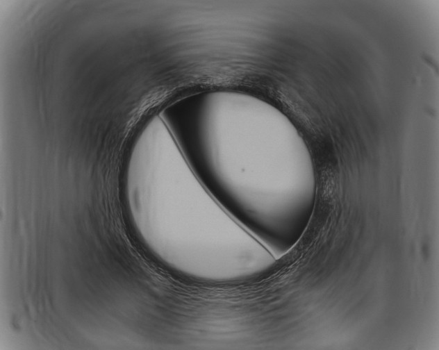 X0000097500685200802220842