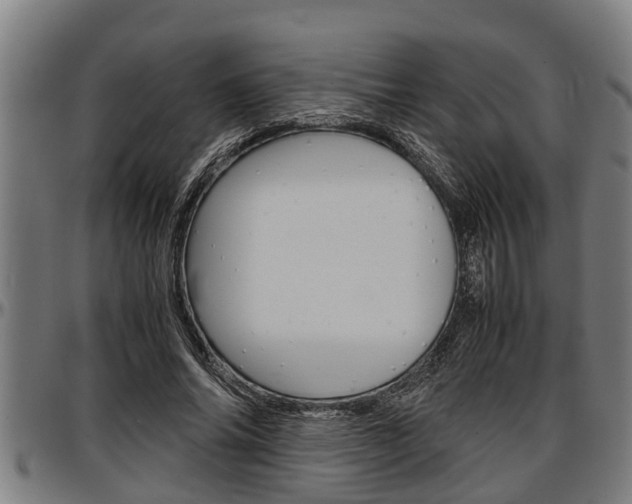 X0000097500686200802220842