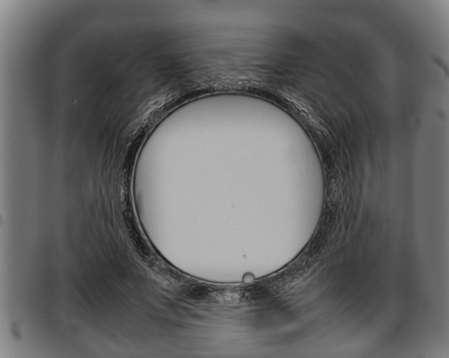 X0000097500687200802220842
