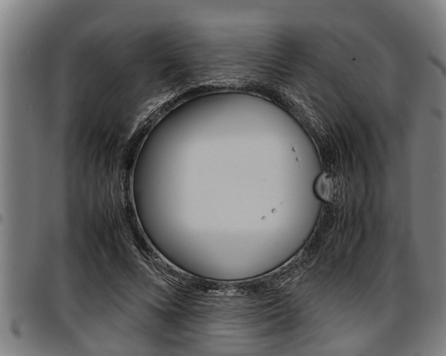 X0000097500688200802220842