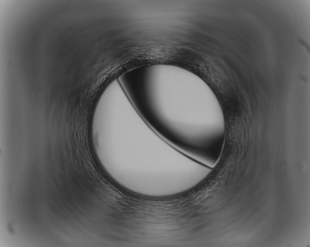 X0000097500689200802220842