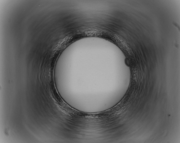 X0000097500690200802220842