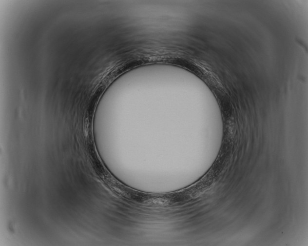 X0000097500691200802220842