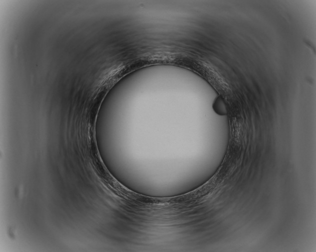 X0000097500692200802220842