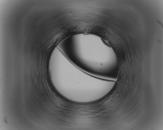 X0000097500693200802220842