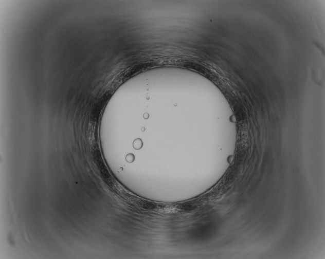 X0000097500695200802220842