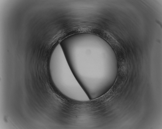 X0000097500696200802220842