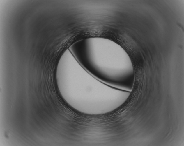 X0000097500697200802220842