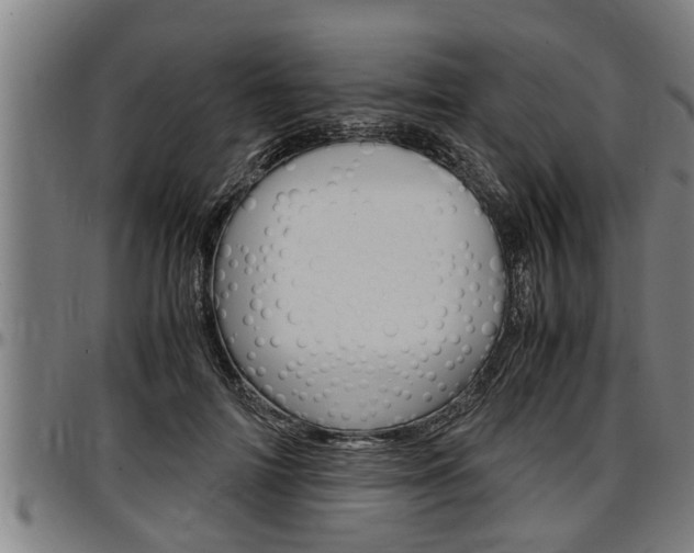 X0000097500698200802220842