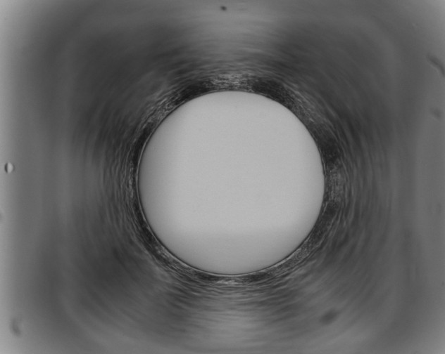 X0000097500699200802220842
