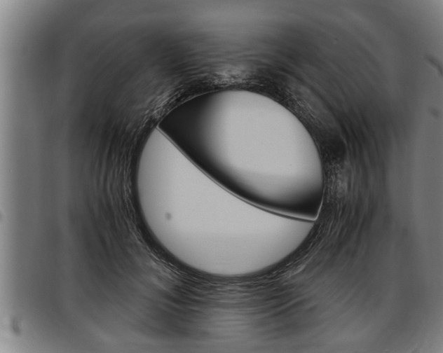 X0000097500700200802220842