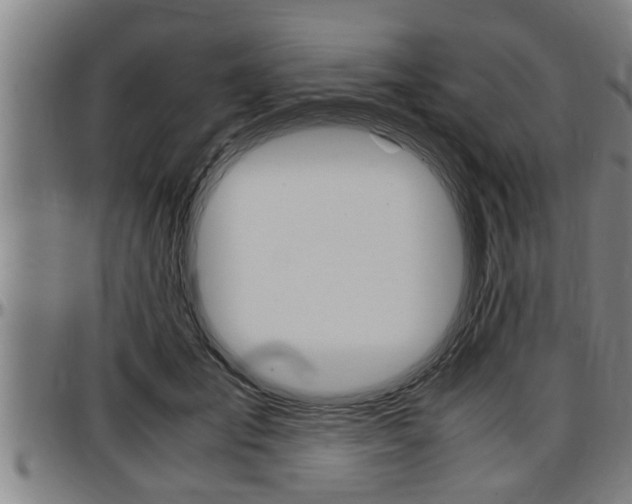 X0000097500701200802220842