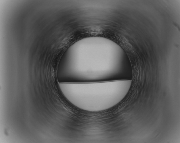 X0000097500704200802220842