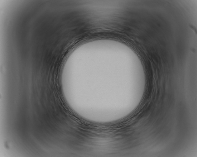 X0000097500705200802220842