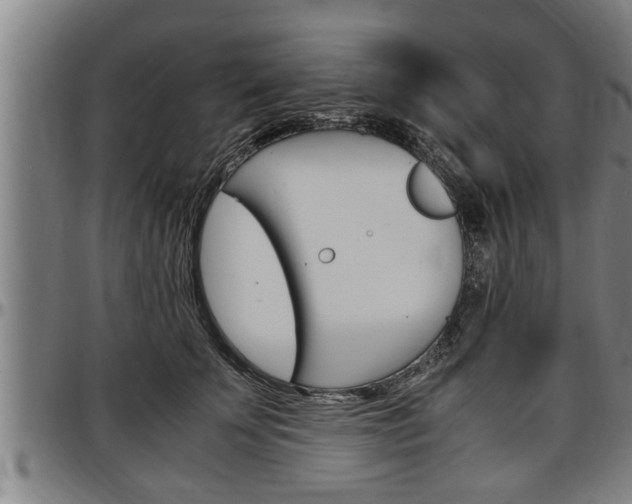 X0000097500707200802220842