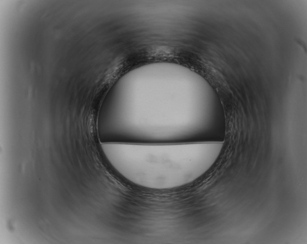 X0000097500708200802220842