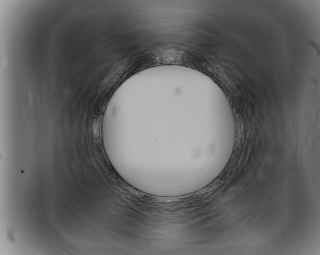 X0000097500709200802220842