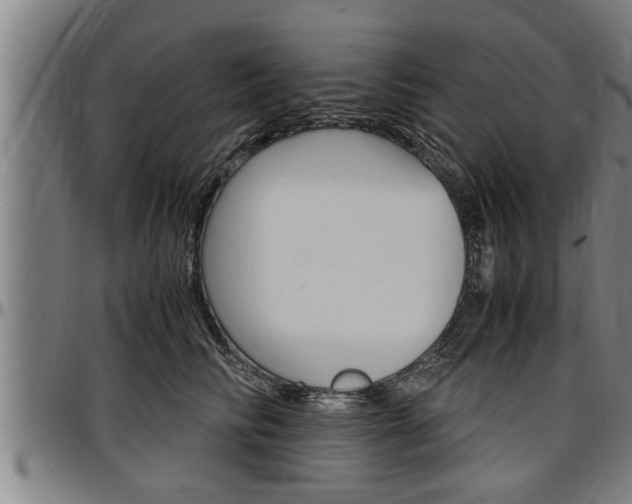 X0000097500710200802220842