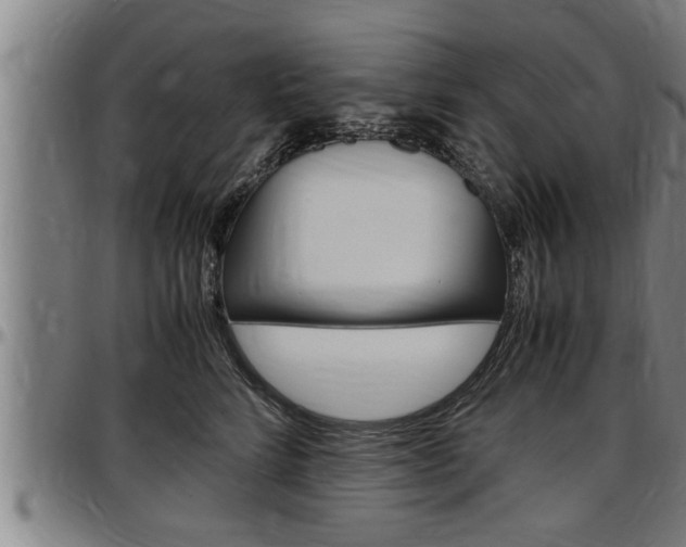X0000097500712200802220842