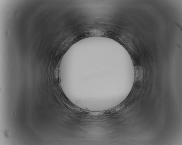 X0000097500713200802220842