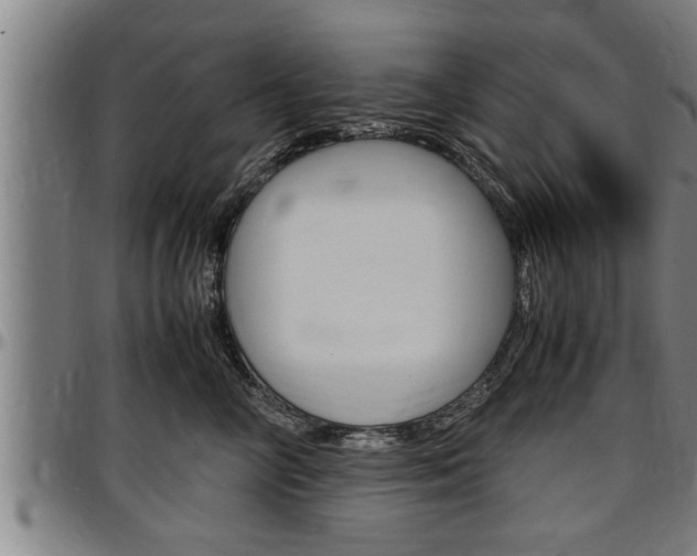 X0000097500714200802220842