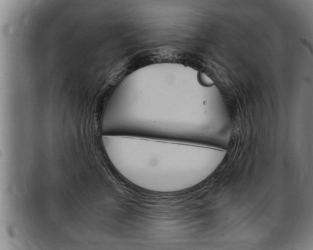 X0000097500715200802220842