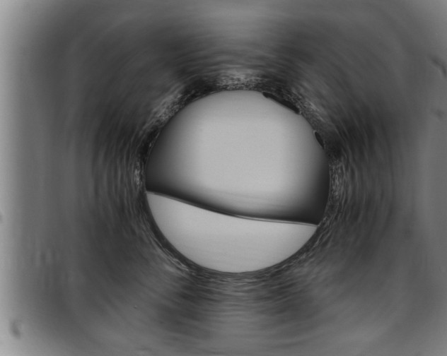 X0000097500716200802220842