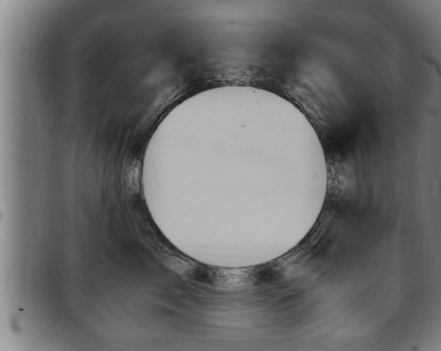 X0000097500717200802220842