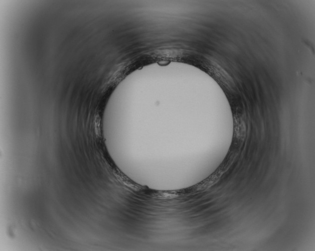 X0000097500718200802220842