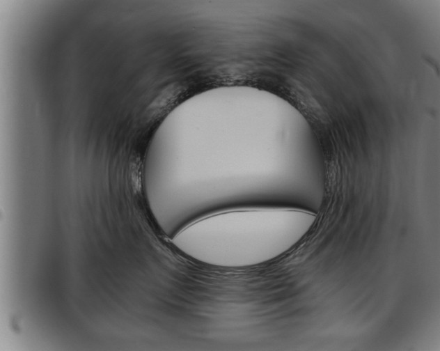 X0000097500719200802220842