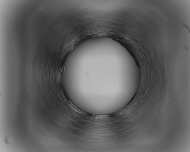 X0000097500720200802220842