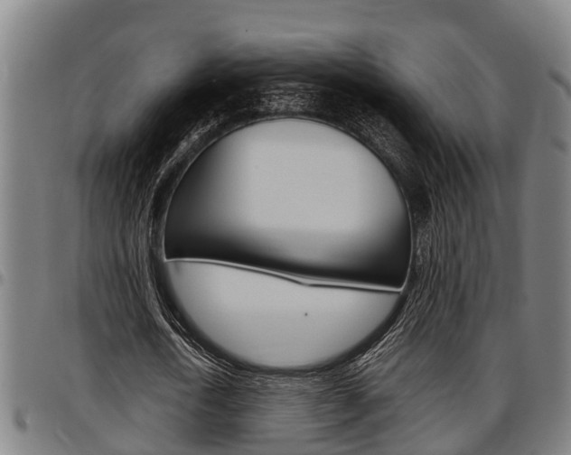 X0000097500722200802220841