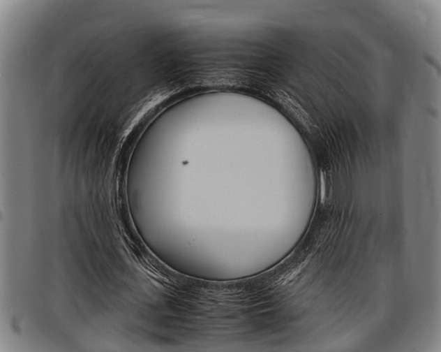X0000097500723200802220841