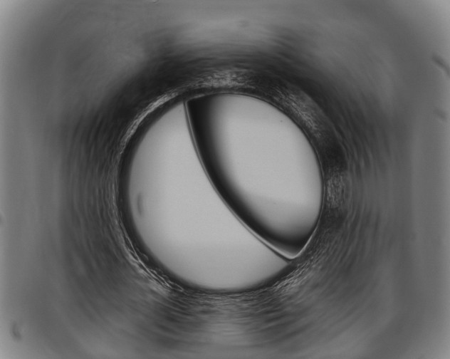 X0000097500724200802220841
