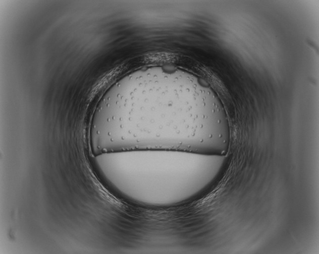X0000097500725200802220841